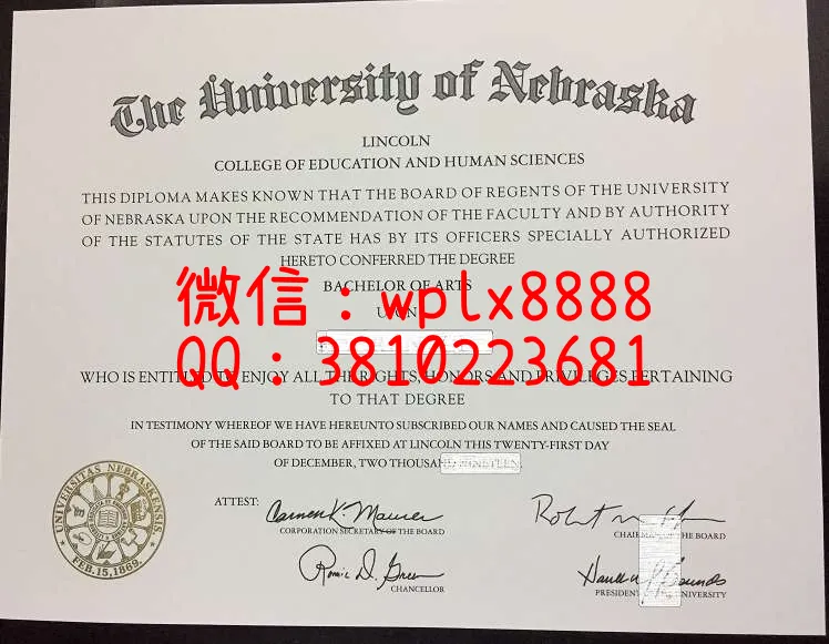 内布拉斯加大学林肯分校