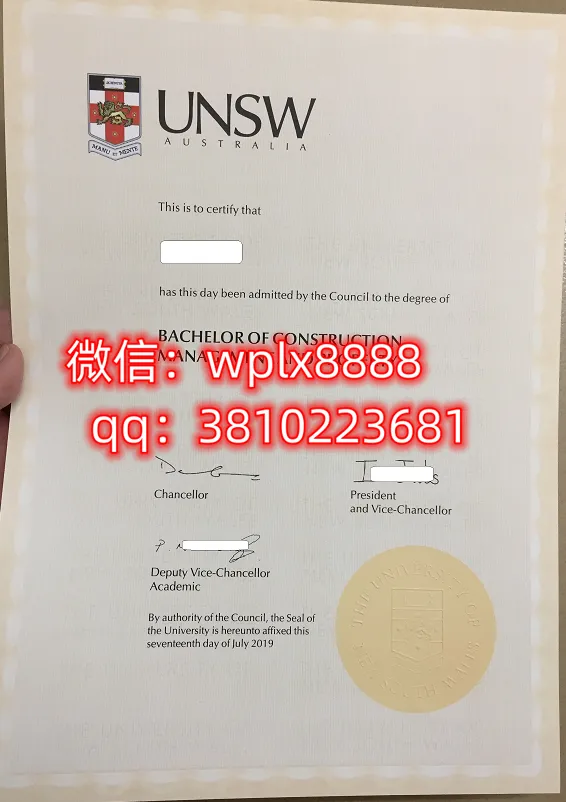 新南威尔士大学