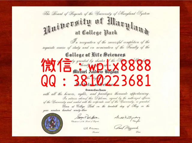 马里兰大学帕克分校