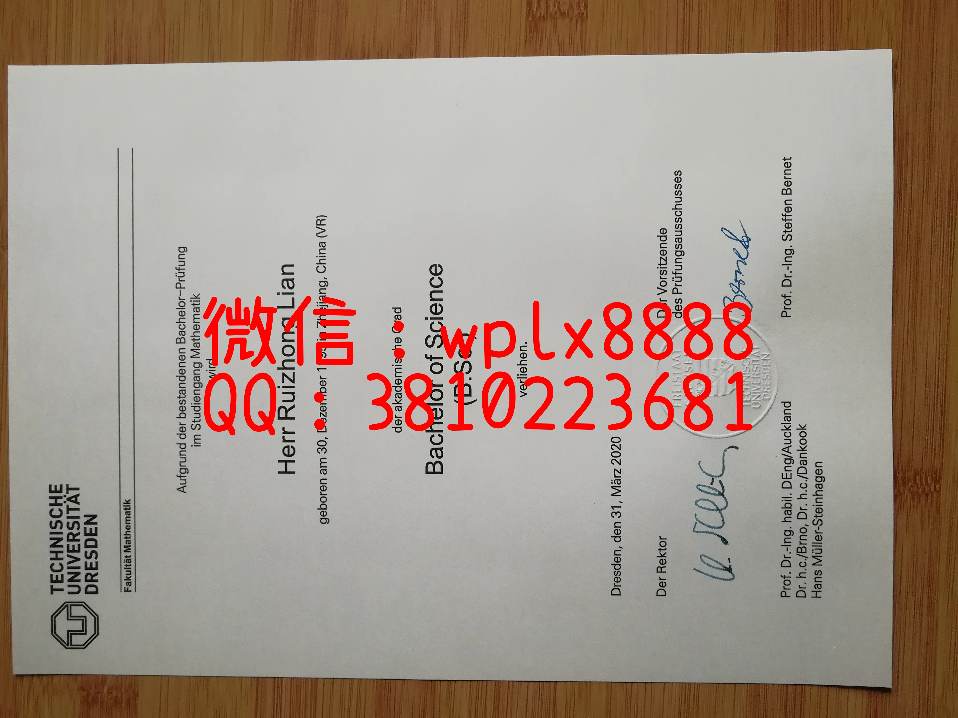 德累斯顿工业大学成绩单2