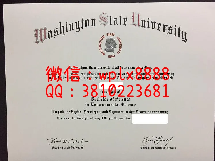 华盛顿州立大学