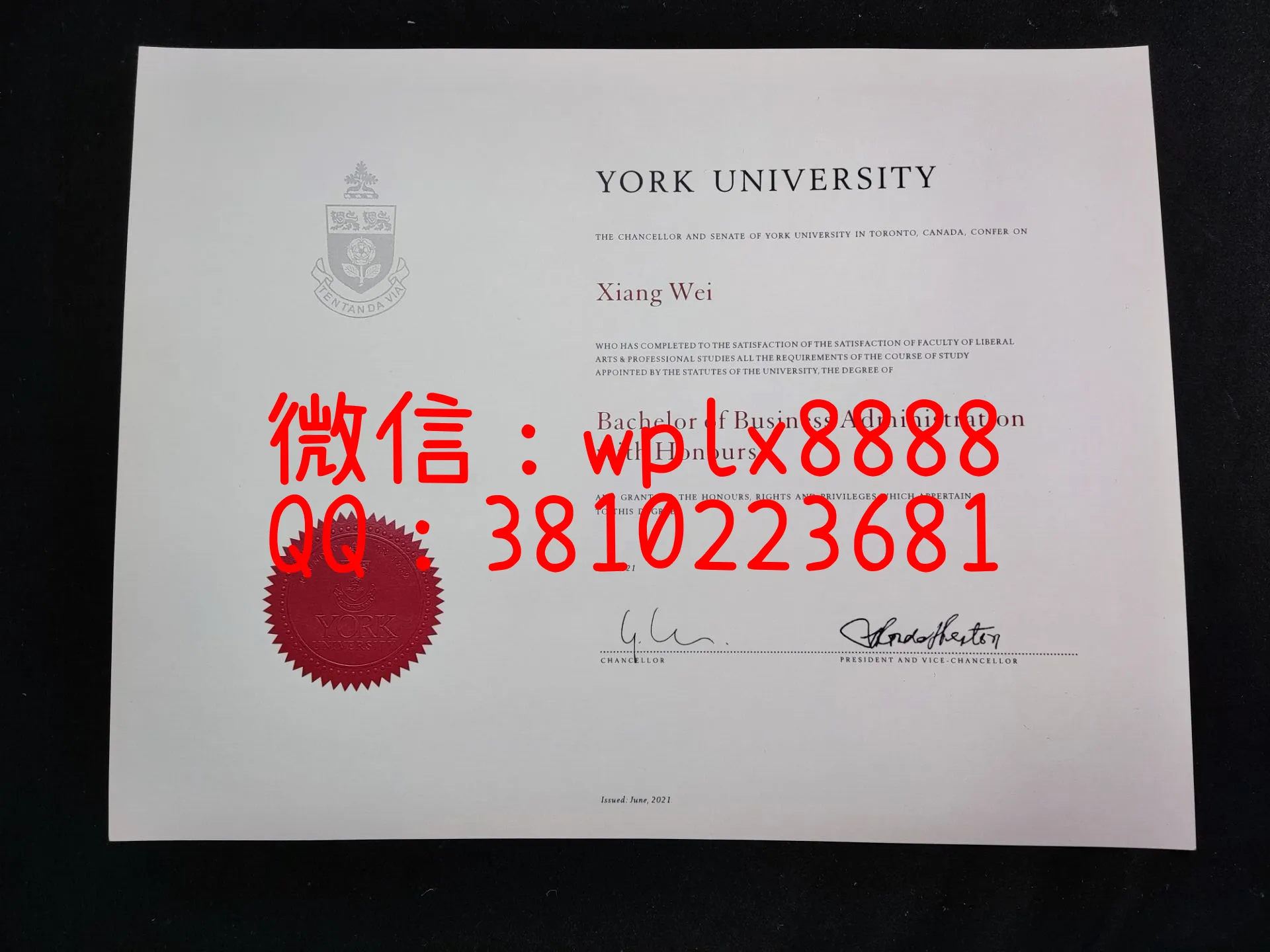 约克大学毕业证-成品