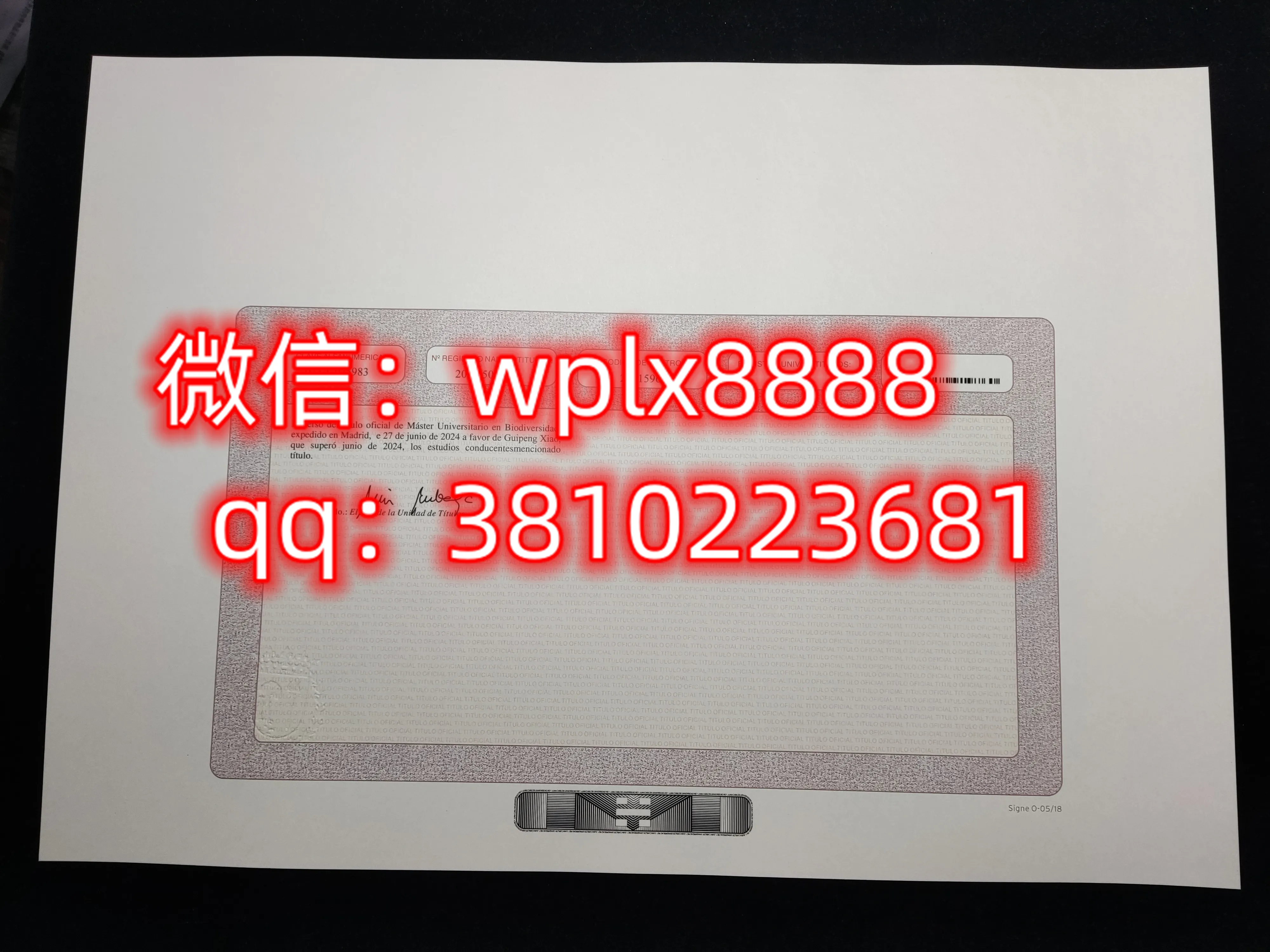 马德里自治大学