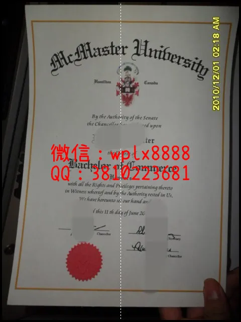 加拿大麦克玛斯特大学文凭_副本