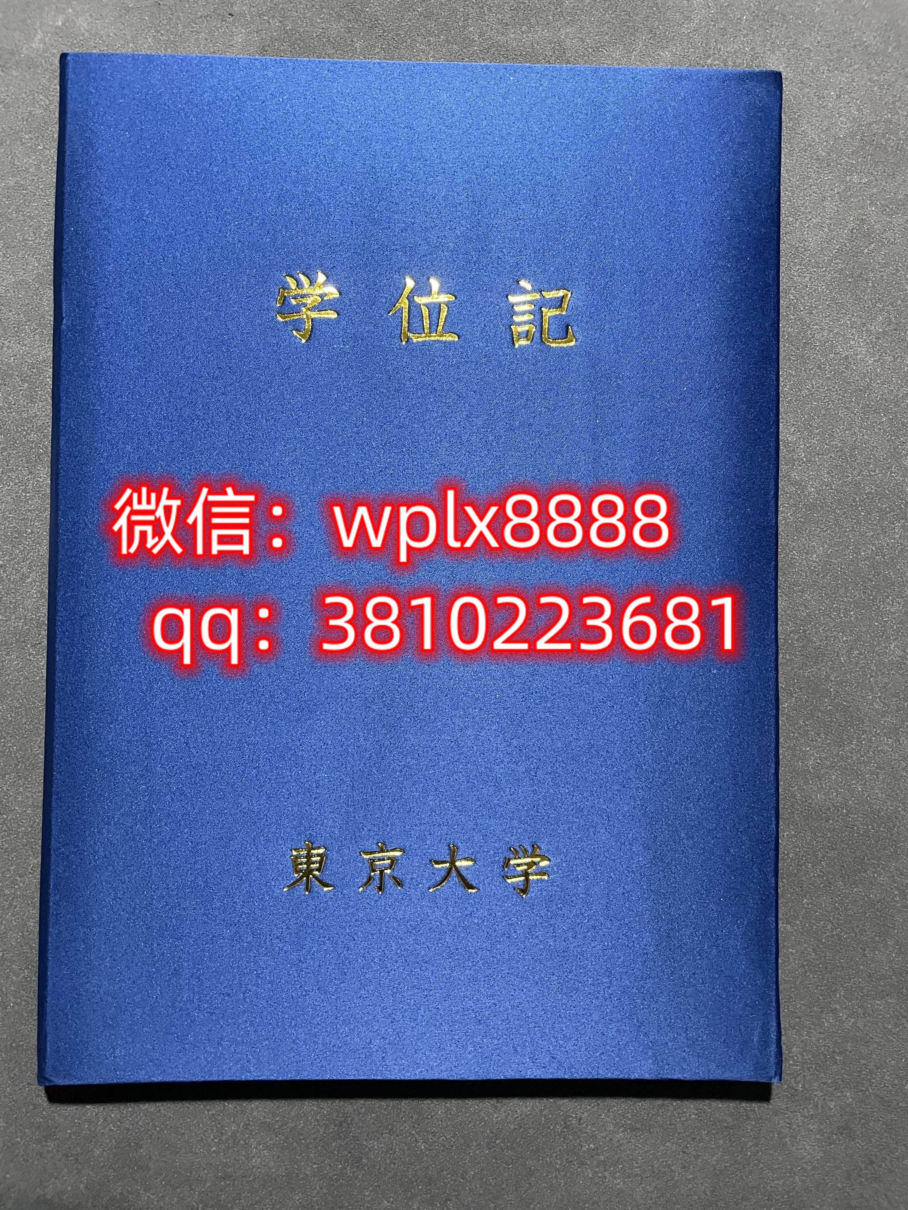 东京大学
