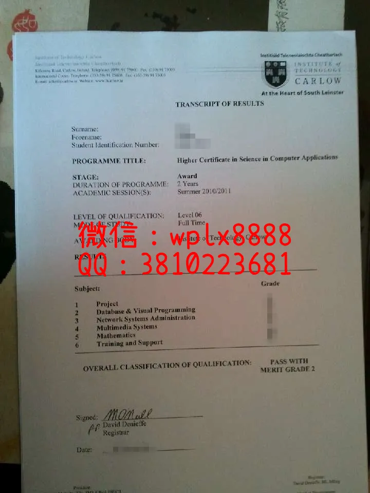 爱尔兰卡罗理工大学成绩单-(2)