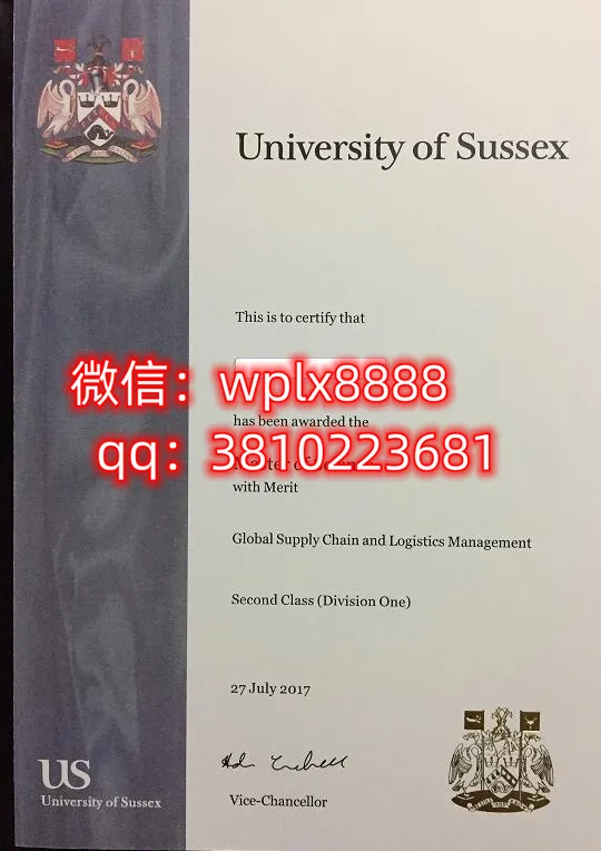 萨塞克斯大学