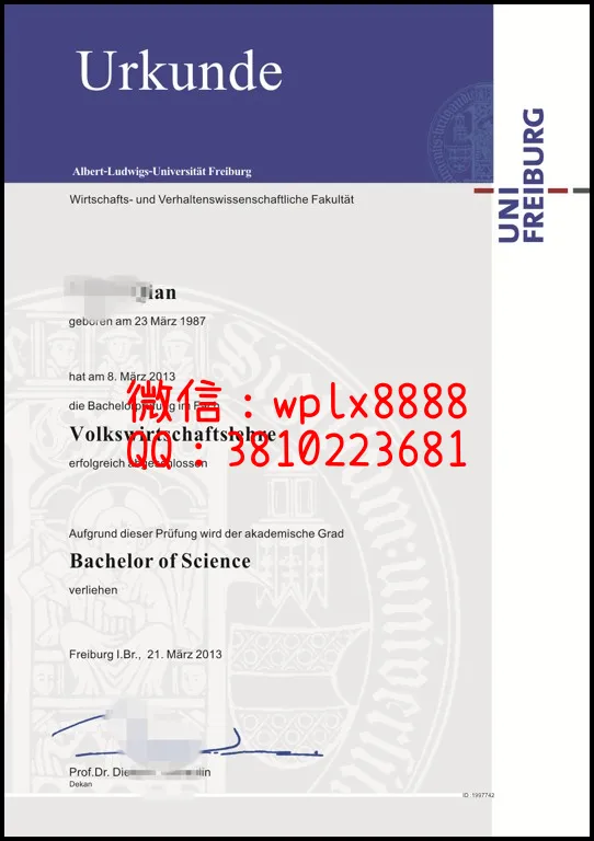 德国弗莱堡大学2_副本