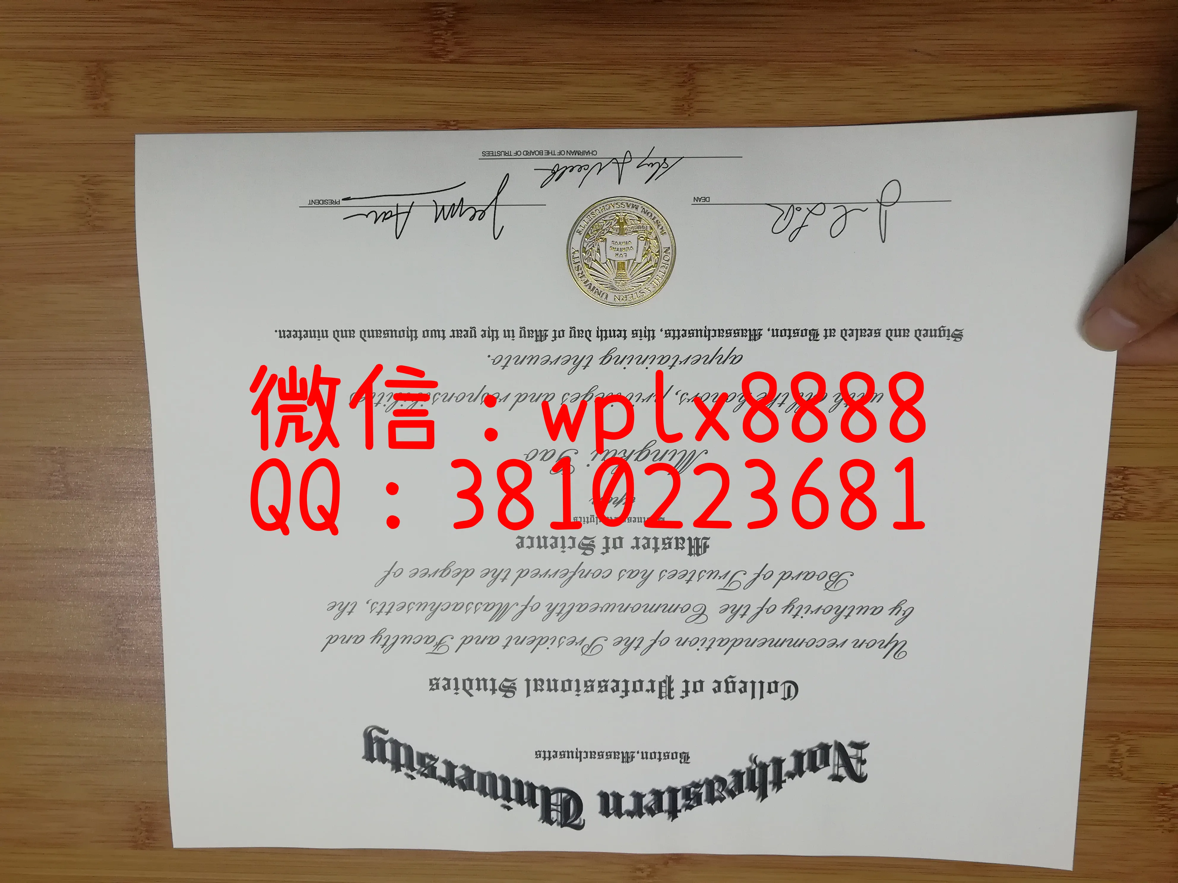 美国东北大学实拍样本