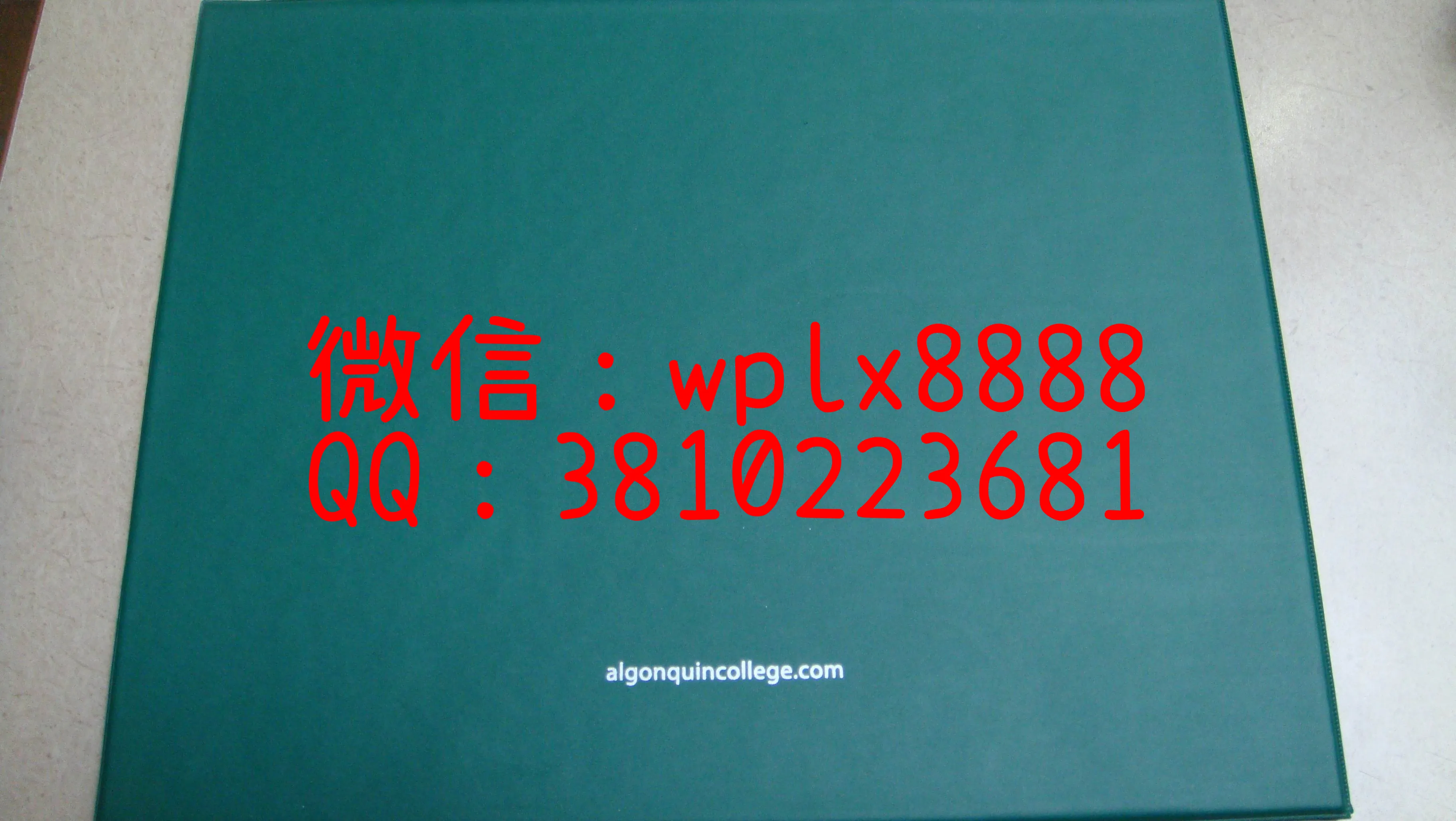 加拿大百年理工大学-(2)