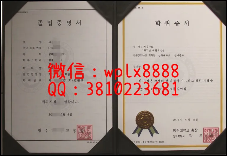 韩国清州大学文凭样本_副本-副本