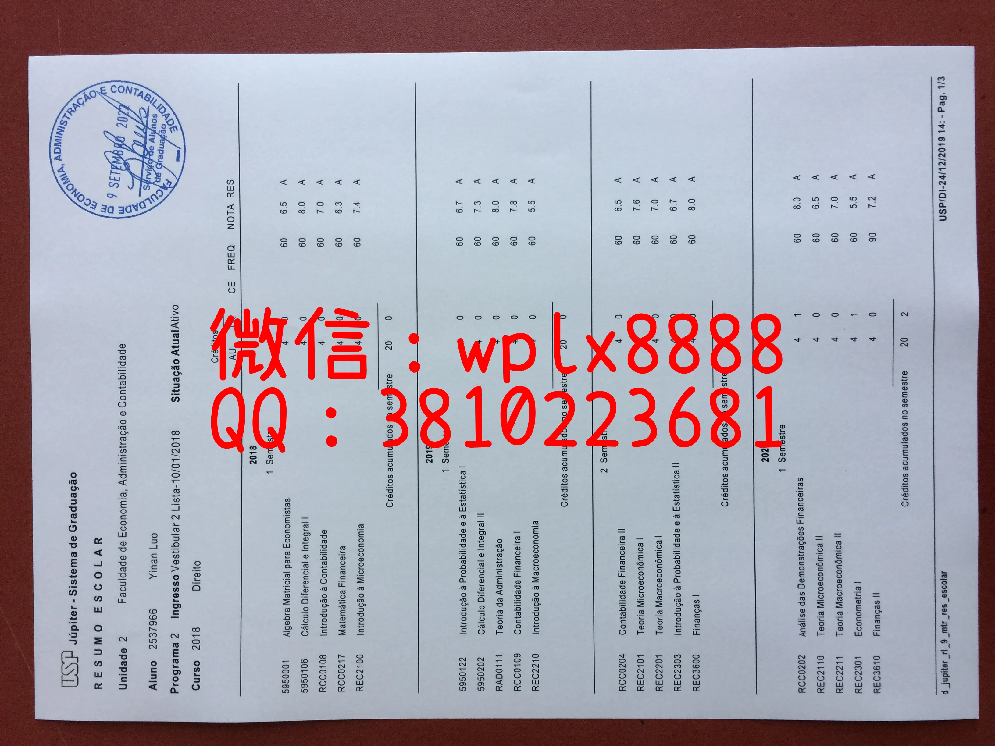 巴西圣保罗大学-成绩单成品1