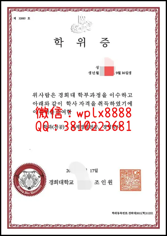 韩国庆熙大学(3)(1)_副本-副本