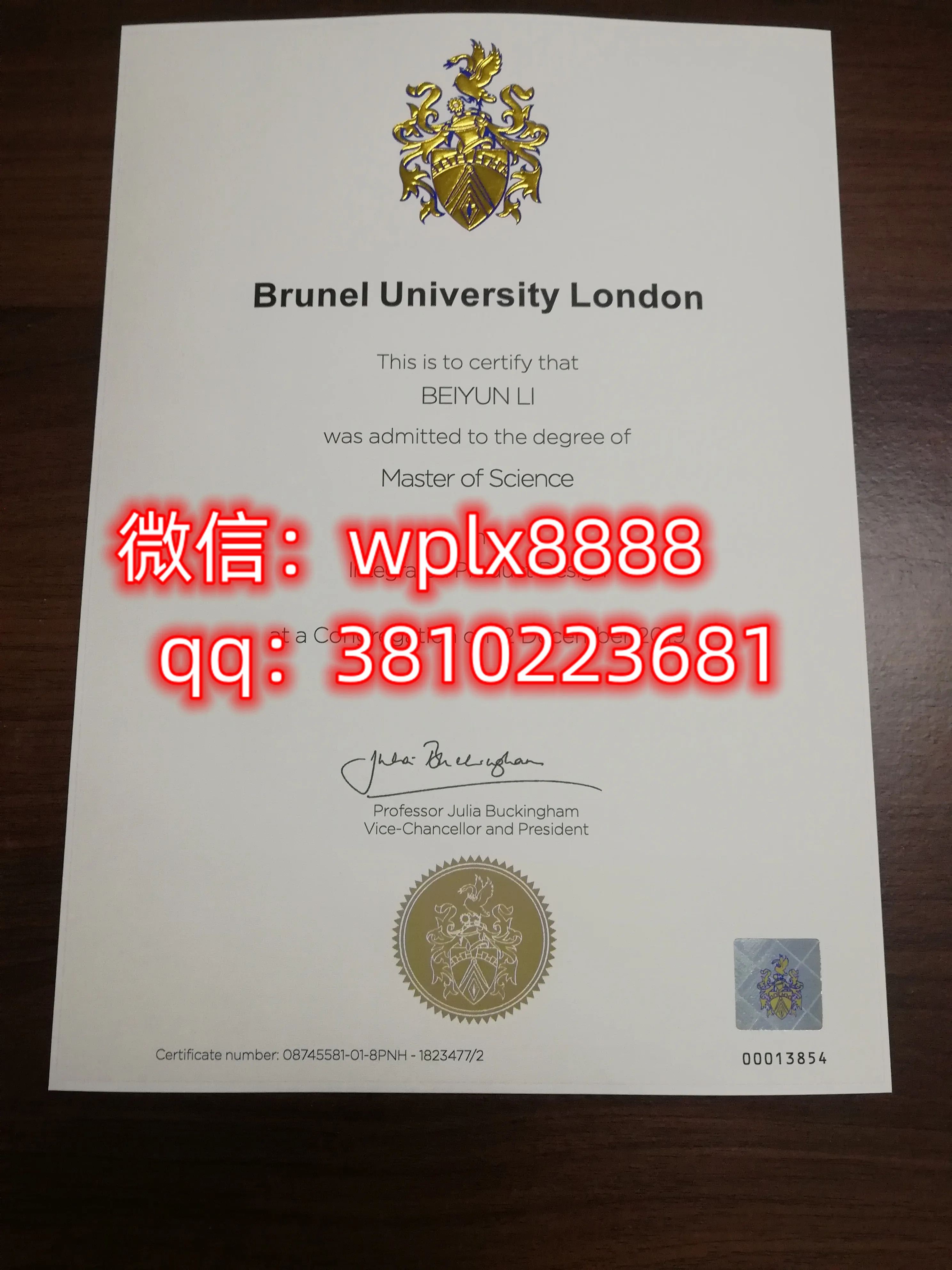 伦敦布鲁内尔大学