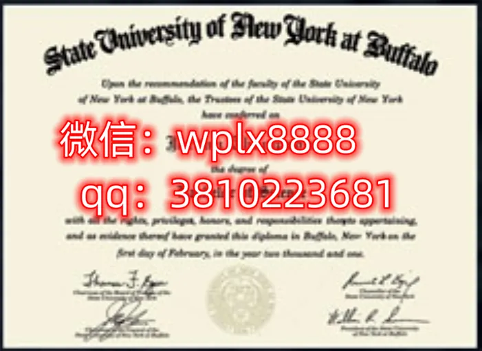 纽约州立大学布法罗分校