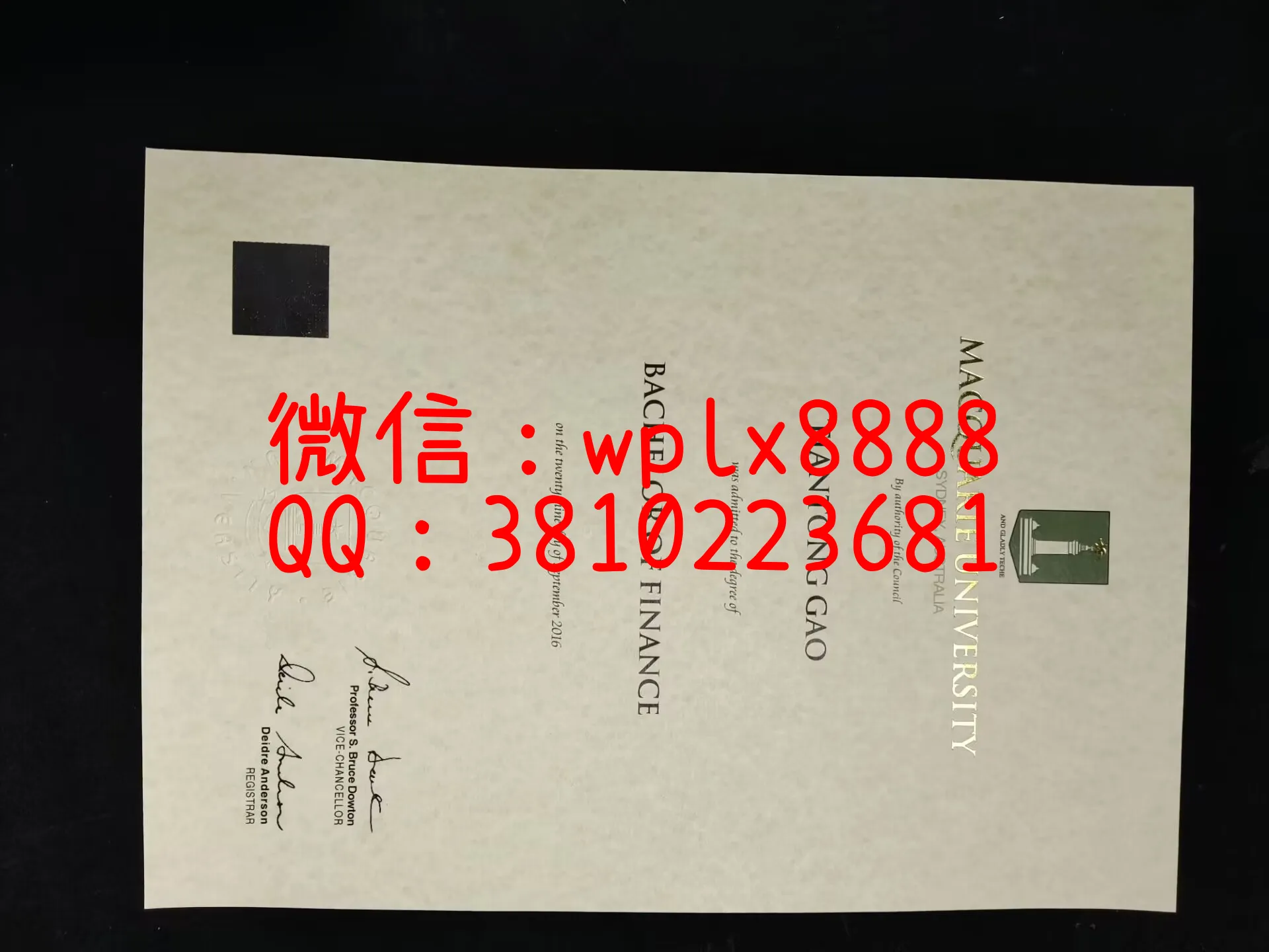 澳大利亚麦考瑞大学毕业证-成品