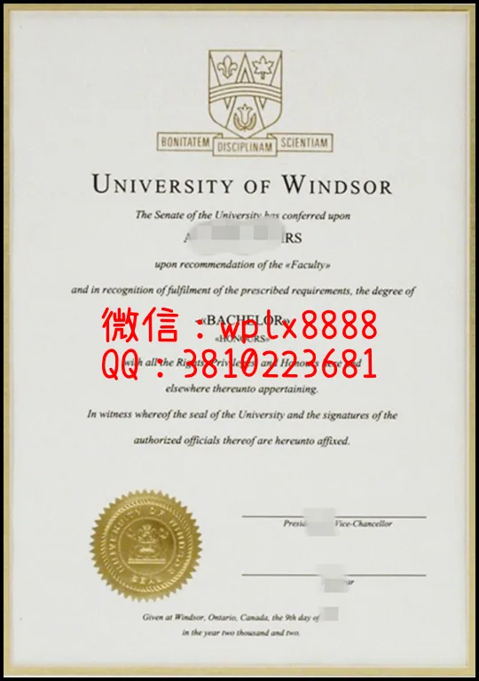 加拿大温莎大学毕业证1_副本