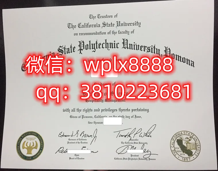 波莫纳加州理工大学