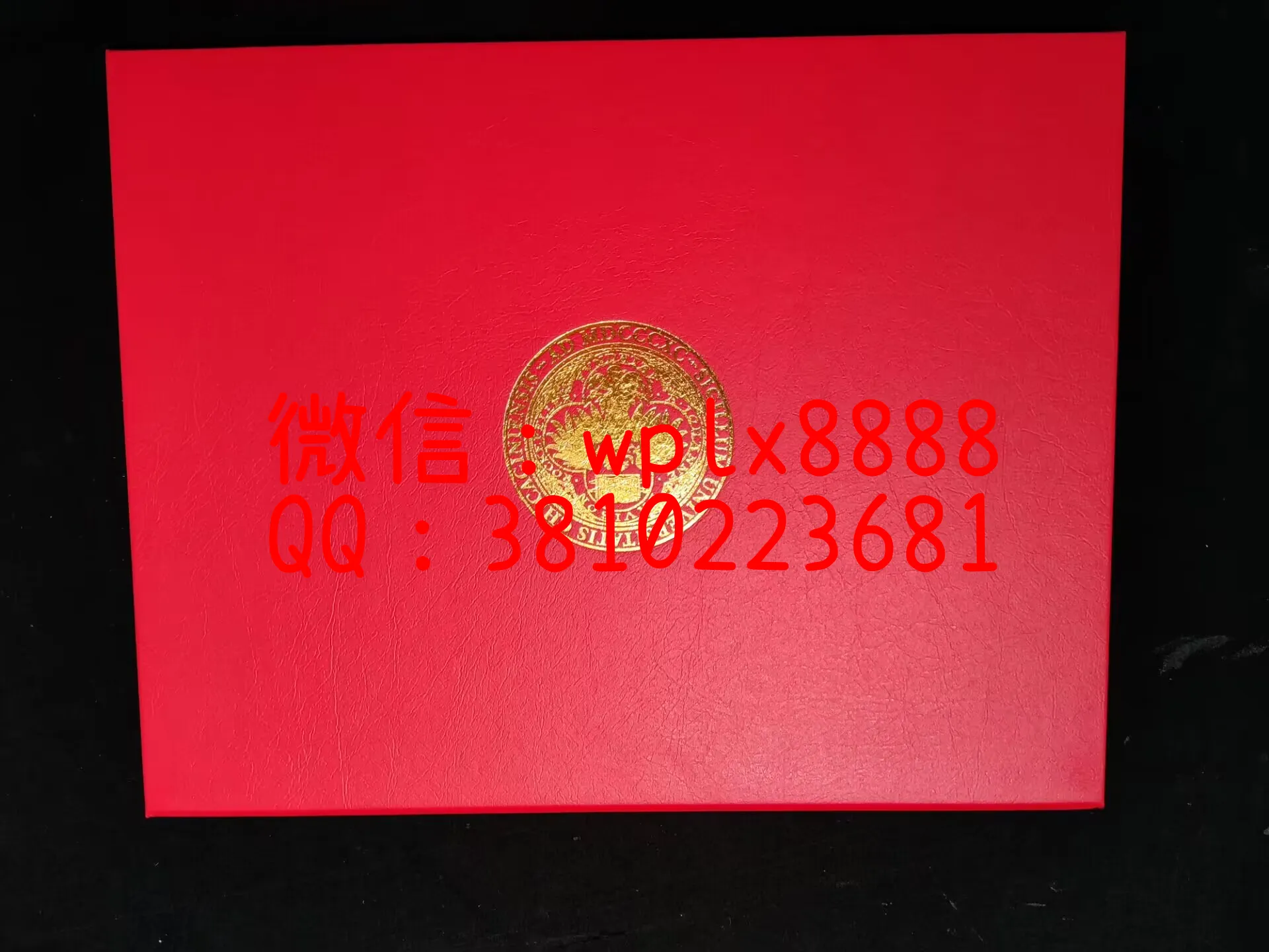 芝加哥大学毕业证-壳子-成品